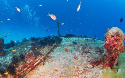 The internet relies on things: vulnerable undersea cables