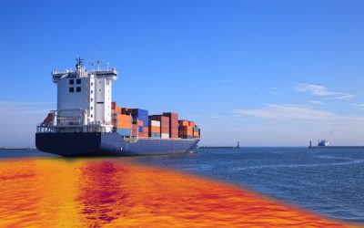 Indian Ocean environmental security needs a regional centre