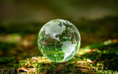 Australia needs a new strategy for a new world