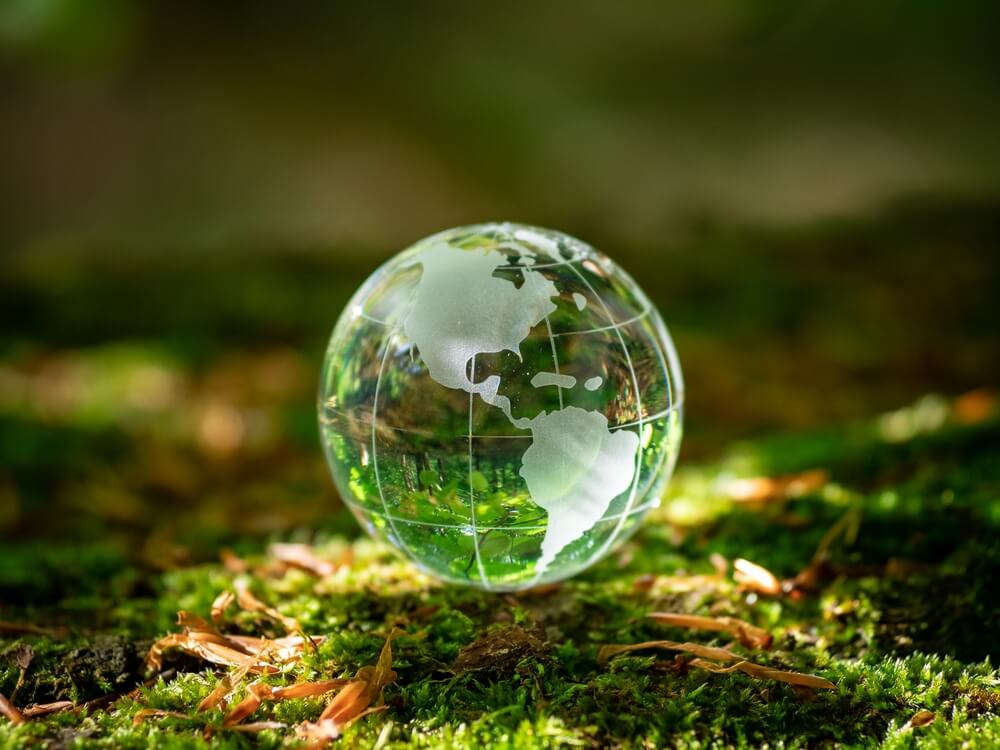 New world small A new world needs a new plan